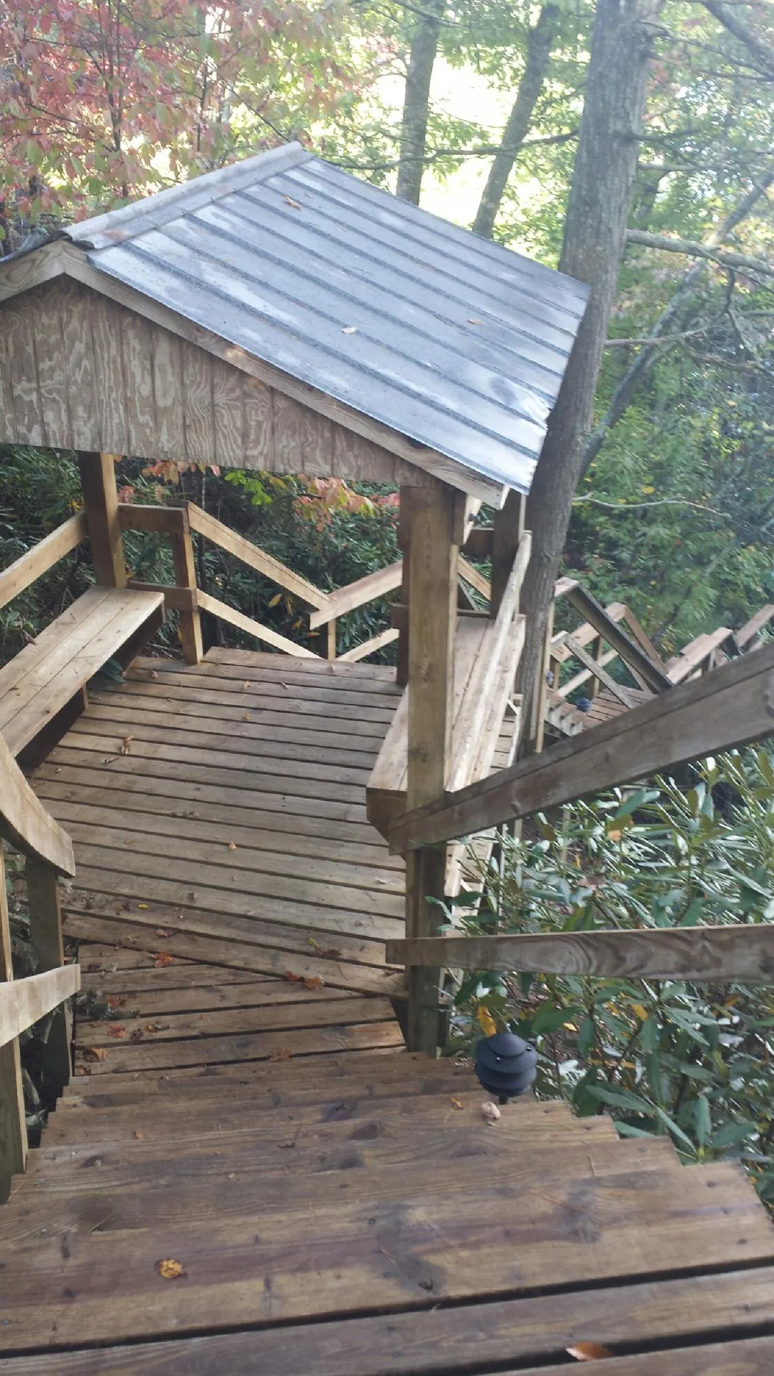 Metal roofed shelter over wooden steps on a wooded walkway — Skylight Repair & Installation work by our crew in Ponce De Leon